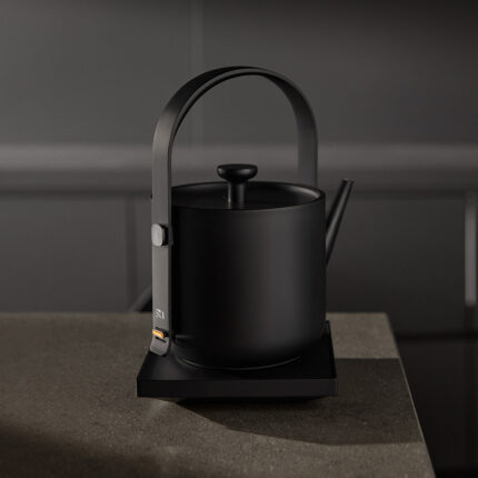 Electric kettle with the ability to keep warm